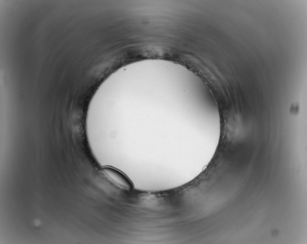 X0000102030616200808011449