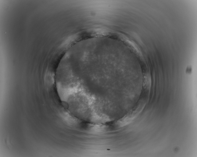 X0000102030621200808011449