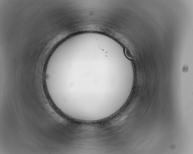 X0000102030625200808011448