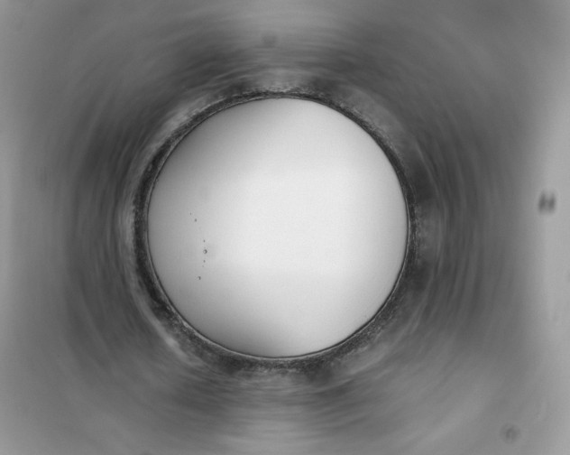 X0000102030626200808011448