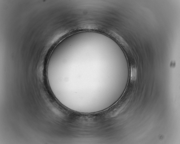 X0000102030627200808011448