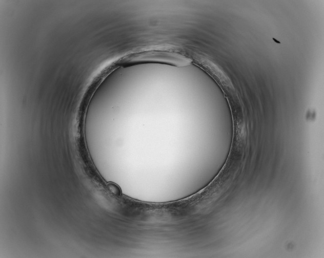 X0000102030628200808011448