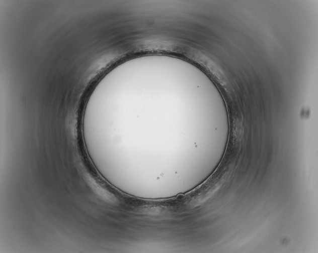 X0000102030629200808011448