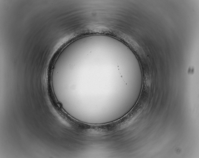 X0000102030630200808011448