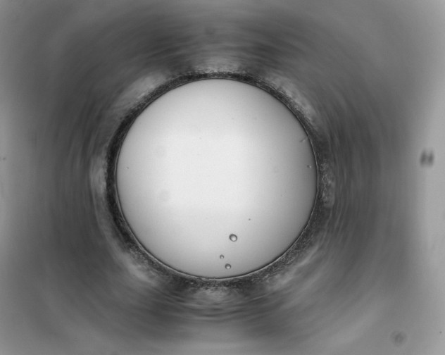 X0000102030631200808011448