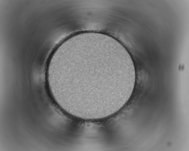 X0000102030632200808011448