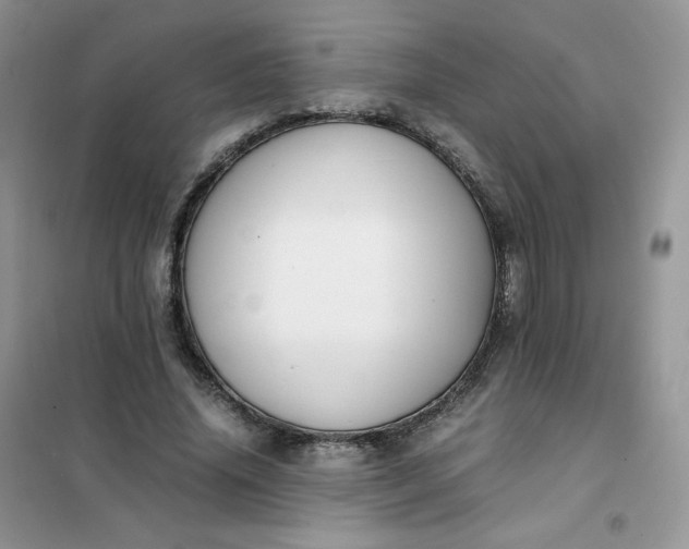 X0000102030636200808011448