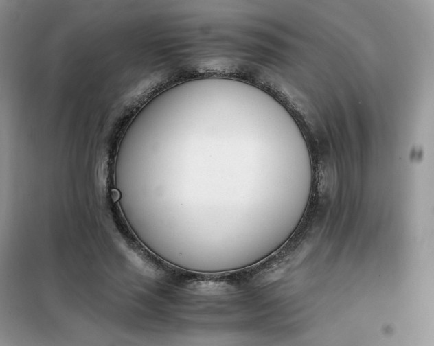 X0000102030637200808011448