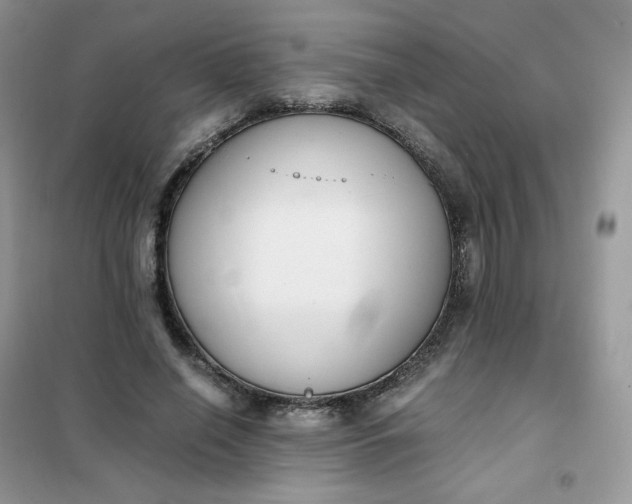 X0000102030638200808011448