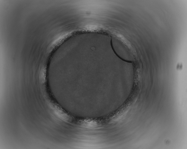 X0000102030640200808011448