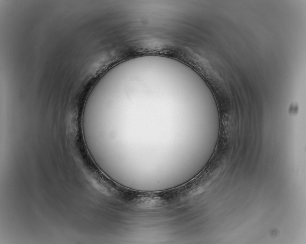 X0000102030642200808011449