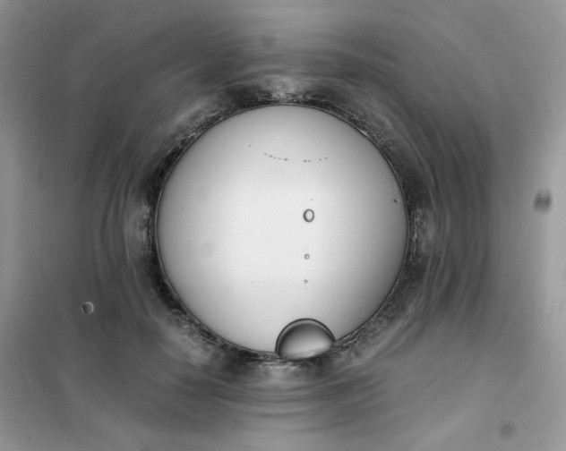 X0000102030650200808011449