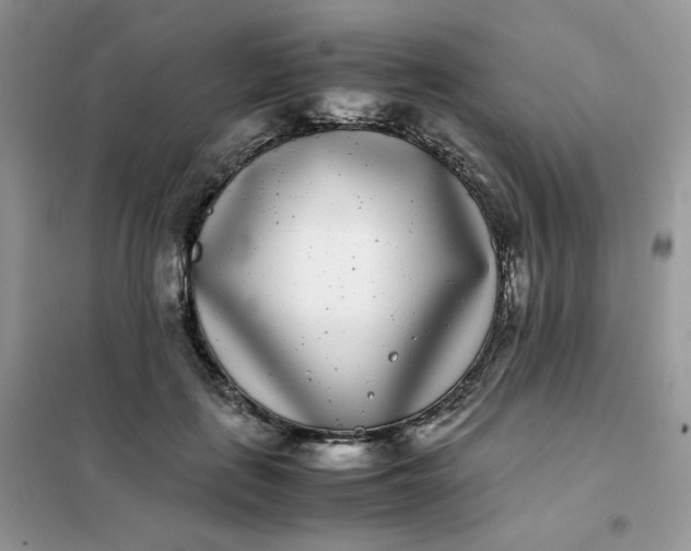 X0000102030651200808011449