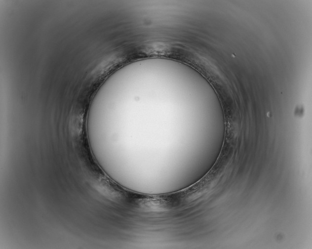 X0000102030652200808011449