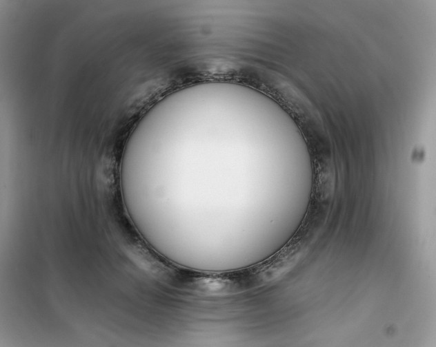 X0000102030654200808011449