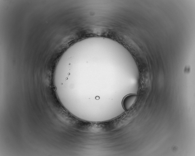 X0000102030656200808011449