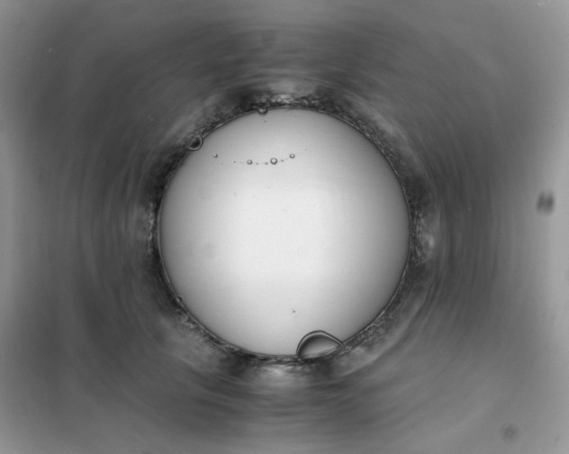 X0000102030657200808011449