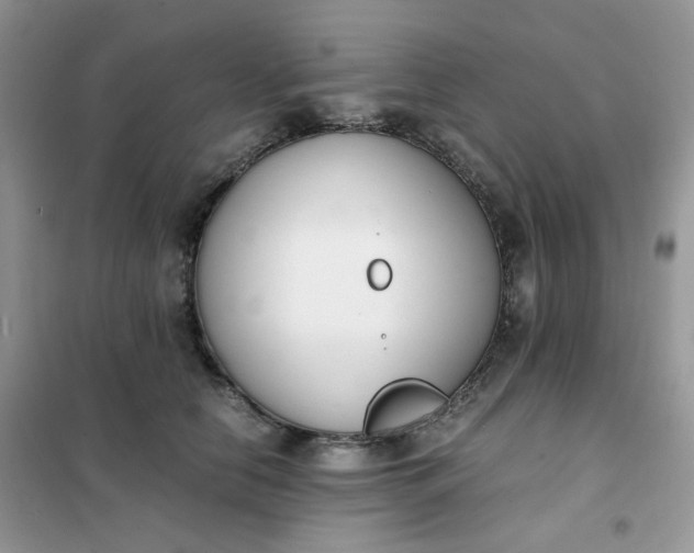 X0000102030658200808011449