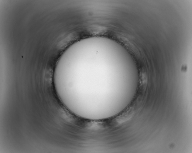 X0000102030664200808011449