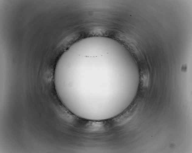 X0000102030665200808011449