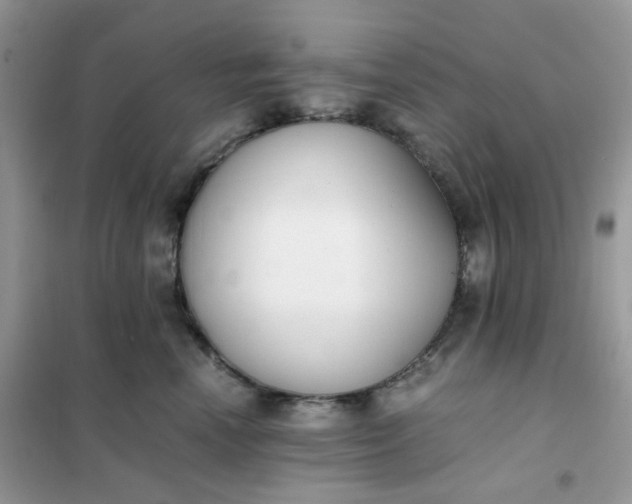 X0000102030666200808011449