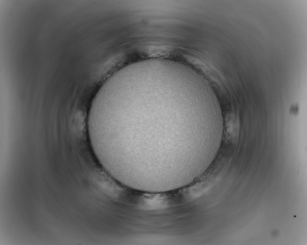 X0000102030667200808011449