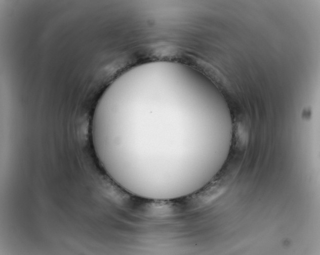 X0000102030668200808011449