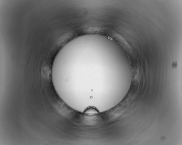 X0000102030669200808011449