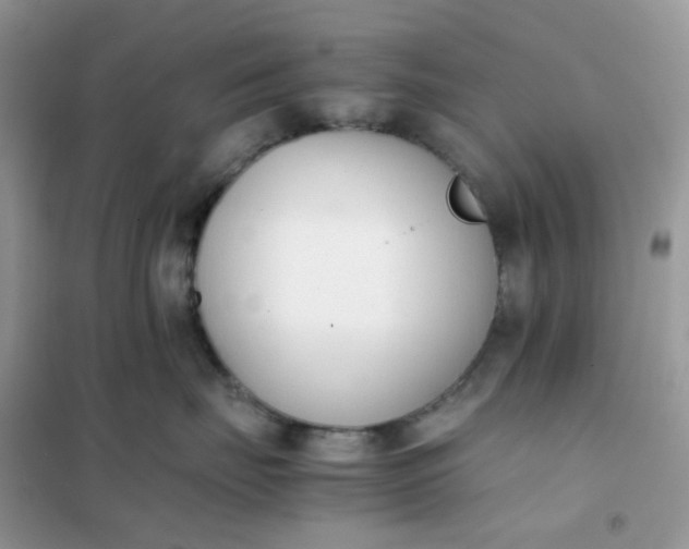 X0000102030671200808011449