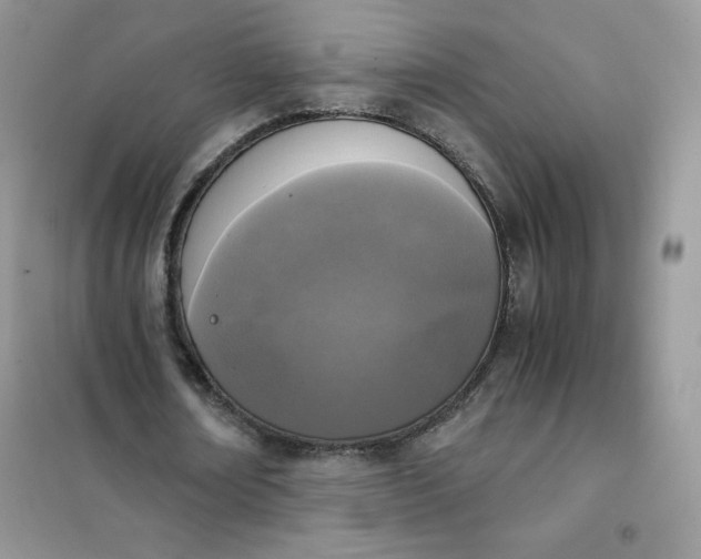 X0000102030674200808011448