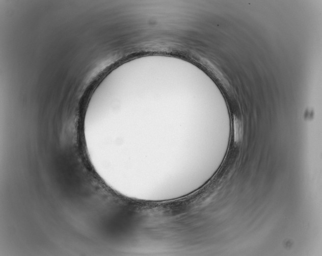 X0000102030675200808011448