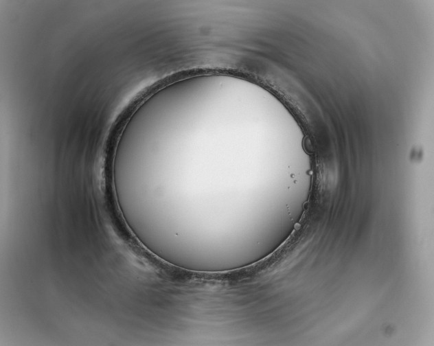 X0000102030676200808011448