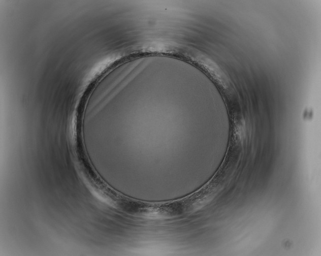 X0000102030678200808011448