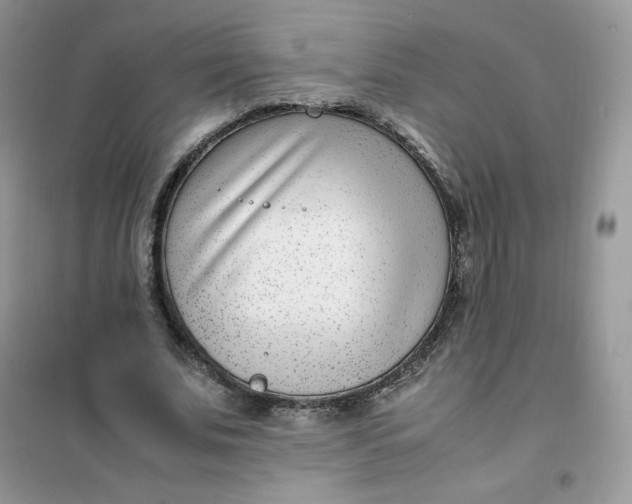 X0000102030679200808011448