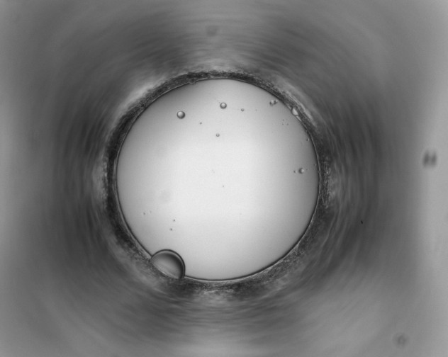 X0000102030680200808011448