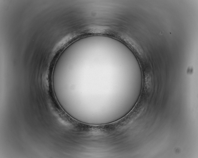 X0000102030682200808011448