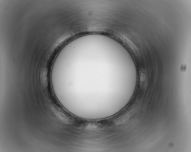 X0000102030684200808011448