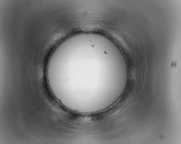 X0000102030687200808011448