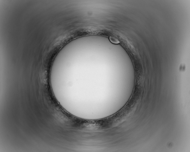 X0000102030689200808011448