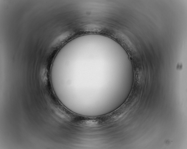 X0000102030692200808011448