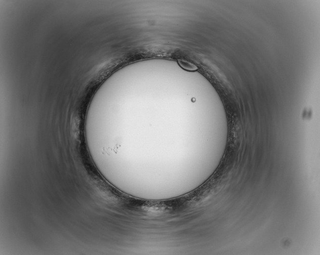 X0000102030693200808011448