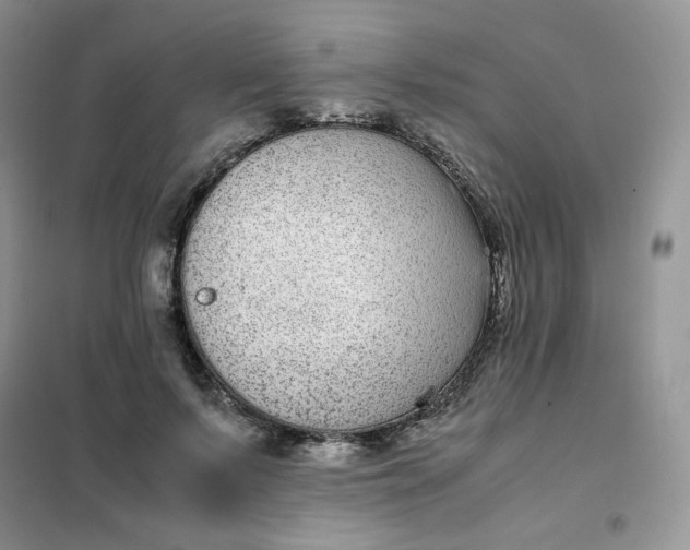 X0000102030695200808011448