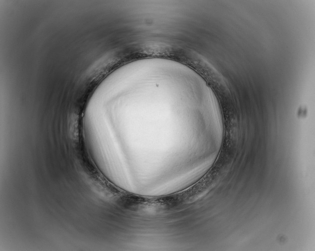 X0000102030696200808011448