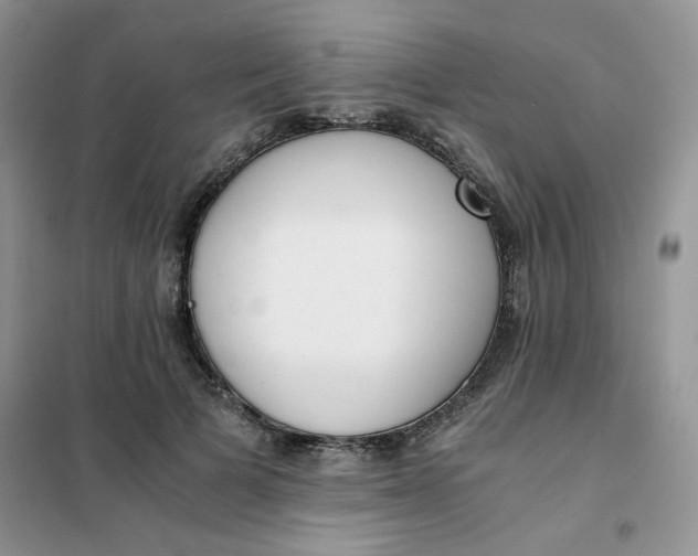 X0000102030697200808011448