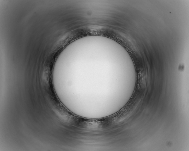 X0000102030698200808011448