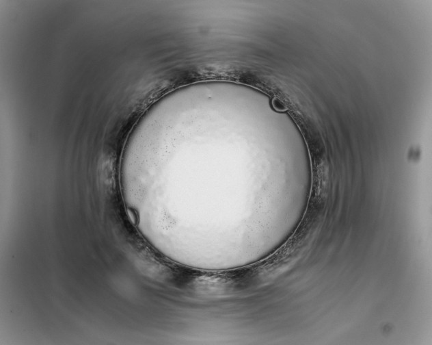 X0000102030699200808011448