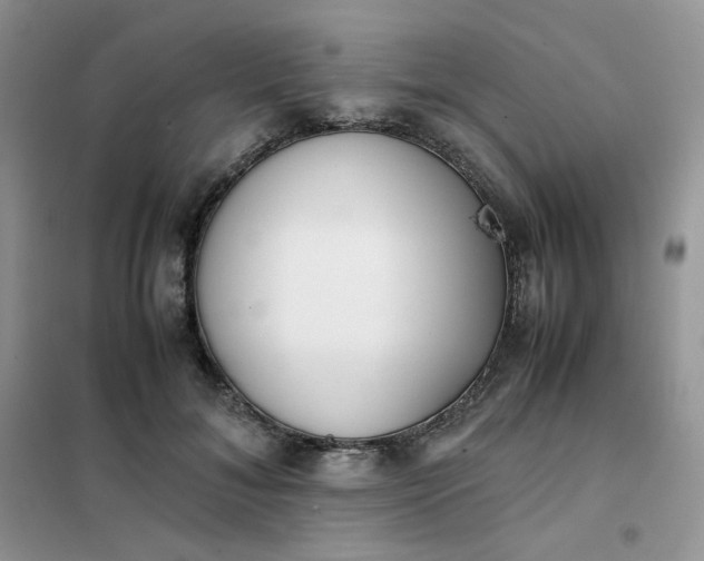 X0000102030700200808011448