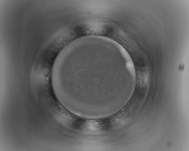 X0000102030701200808011448