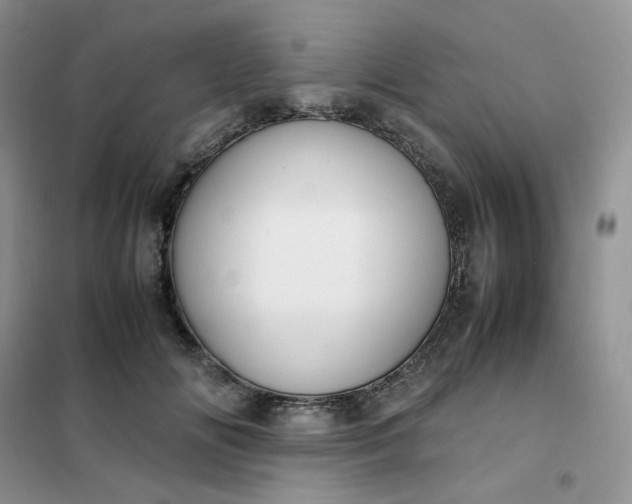 X0000102030702200808011448