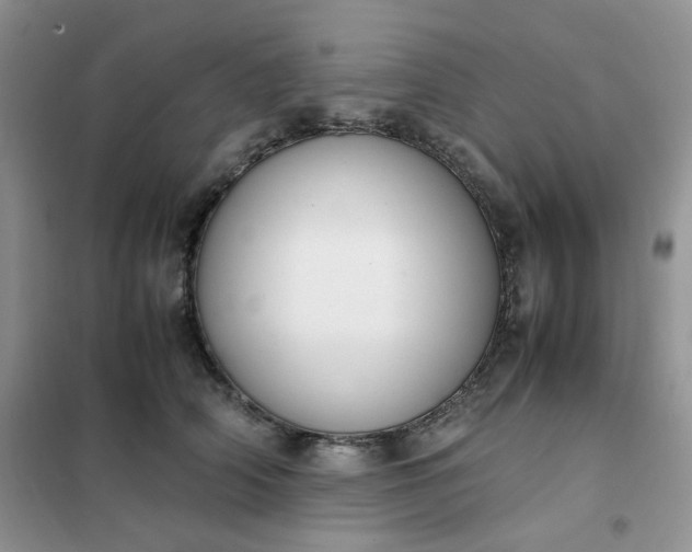 X0000102030706200808011448